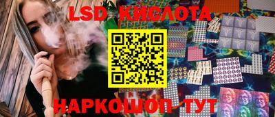 стаф Кингисепп