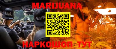 стаф Кингисепп