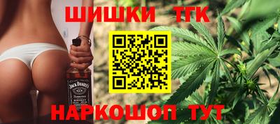 стаф Кингисепп