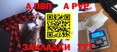 стаф Кингисепп