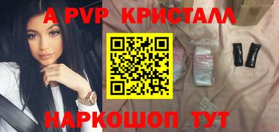 стаф Кингисепп
