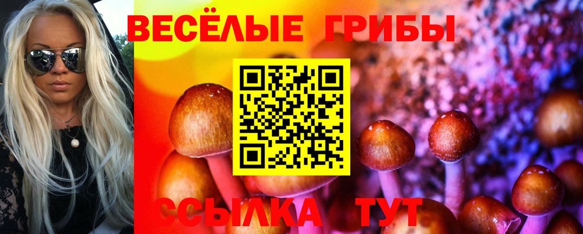 Псилоцибиновые грибы Psilocybe Крымск