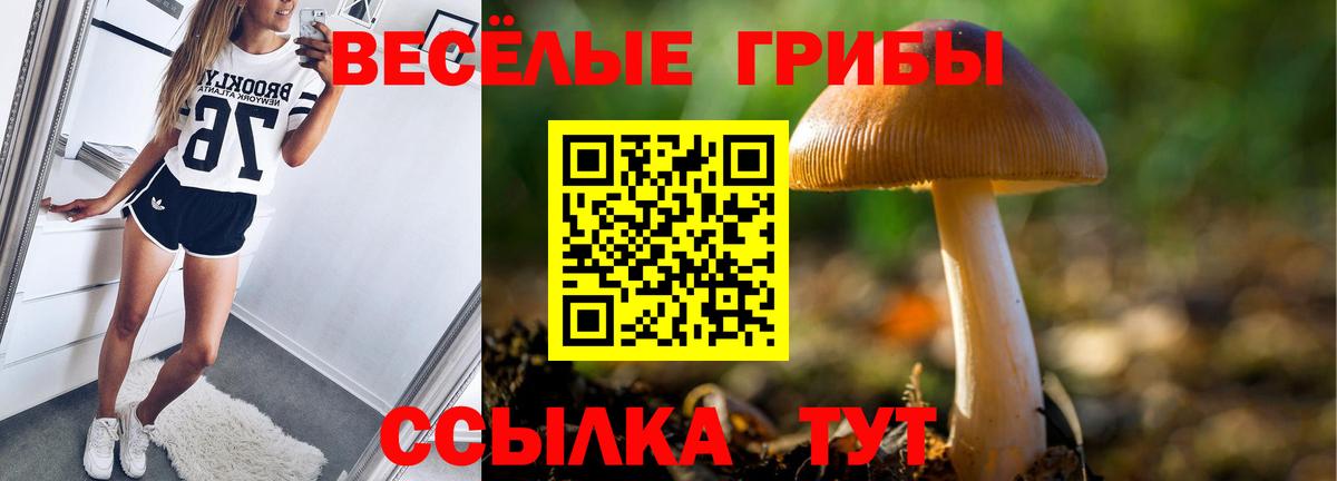Псилоцибиновые грибы мицелий  Вход с VPN  Крымск  Галлюциногенные грибы Cubensis 